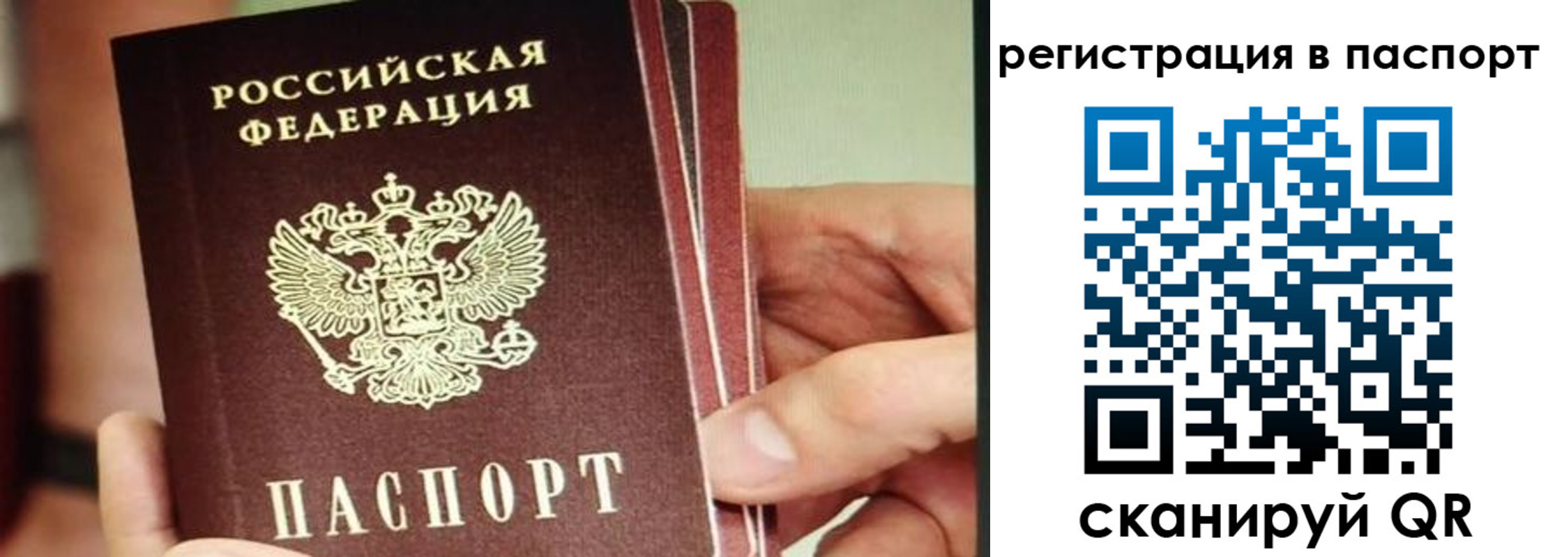 временная регистрация надежно в Калмыкии